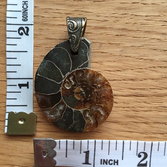 Ammonite Fossil Pendant with Brass Bail NWOT - Picture 4 of 14